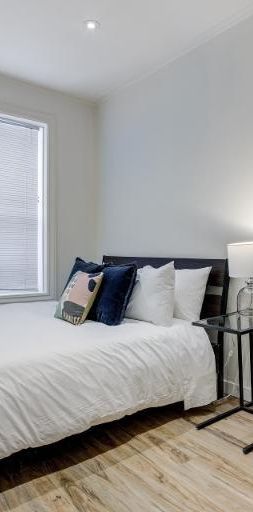 3 1/2 - Montréal (Centre-Sud) - 1 595 $/mois - Photo 1