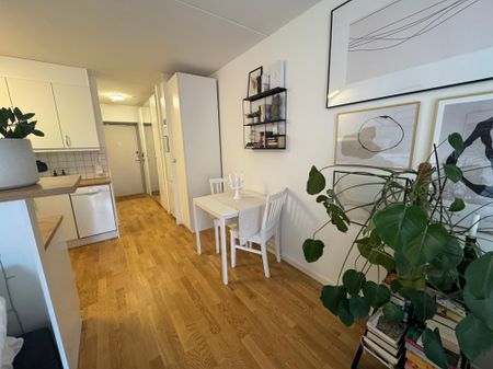 Skebokvarnsvägen, Bandhagen - Photo 3
