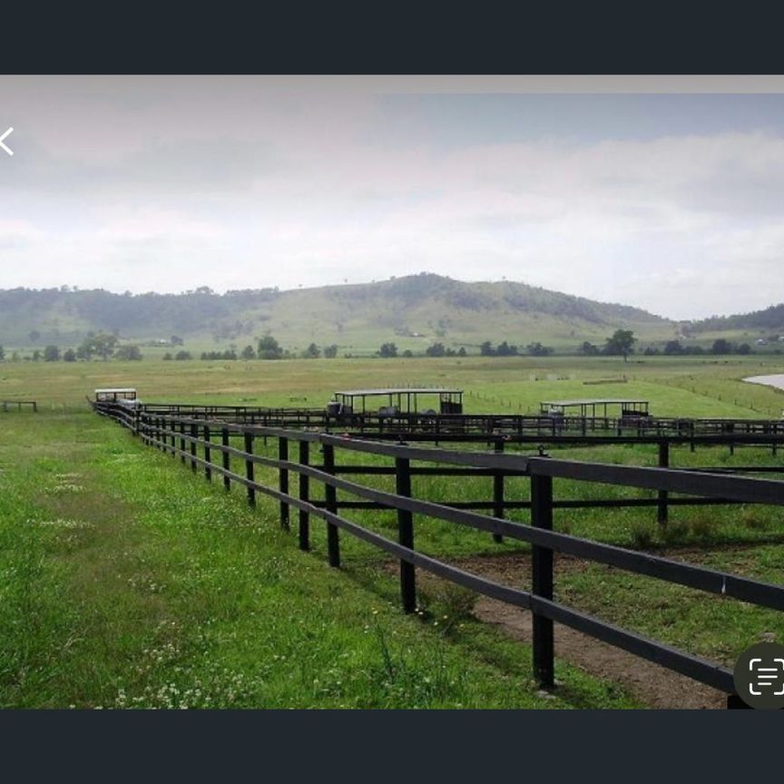 398 Anambah Rd, Anambah, NSW 2320 - Photo 1