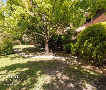 42/7 Medley Street, Chifley ACT 2606 - Apartment For Rent | Domain - Photo 6