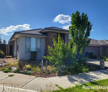 Spacious Family Home Close to Train Station - Photo 2