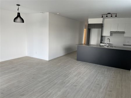 820-103 Rue Lamarche, Sherbrooke, QC (juillet) J1H 0M9 - Photo 2