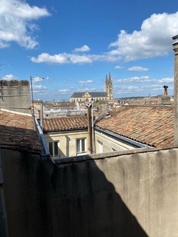 BORDEAUX / JARDIN PUBLIC - T2 CALME ET LUMINEUX - Photo 2