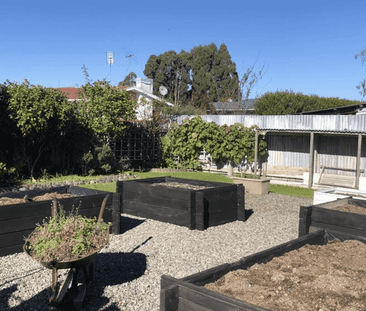 Freshly Renovated - Photo 3