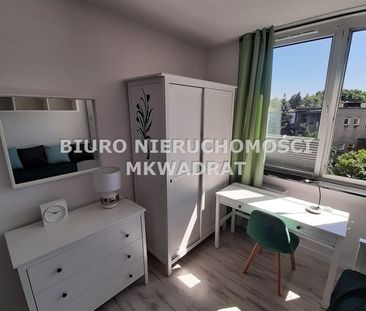 Rybnik, Śródmieście - Zdjęcie 5