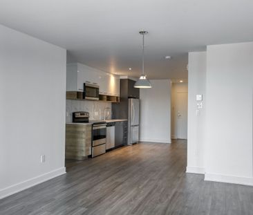 9675 Av. Papineau - Photo 5