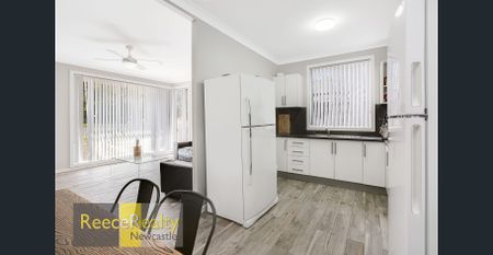 STUDENT HOUSE OPPOSITE UNI! - Photo 3