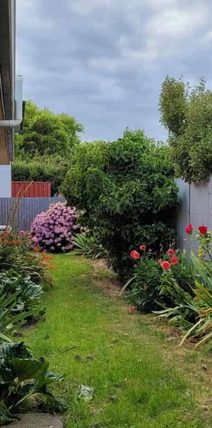 Treasure on Tweed - Photo 1