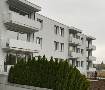 3-Zimmerwohnung mit Aussicht Richtung See - Photo 5