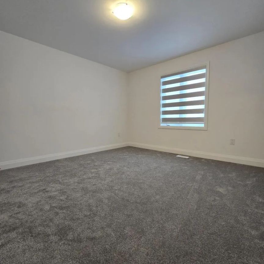 17 BARNYARD TRAIL - Photo 1