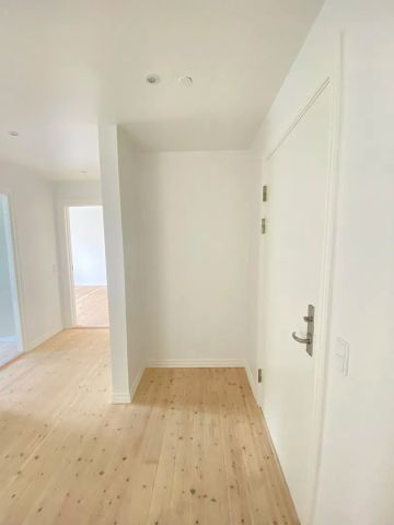 Rummelig lejlighed med fransk altan i Aalborgs hjerte - Foto 5