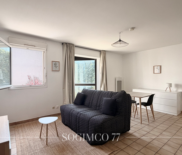 Location Appartement 1 pièce 29m² LAGNY SUR MARNE 77400 - Photo 3