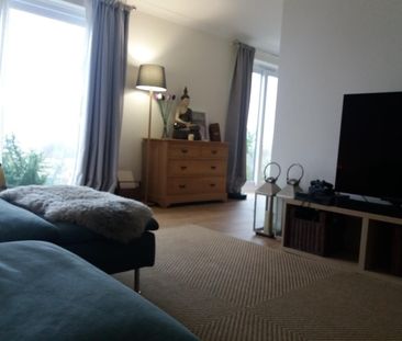 Pococks Road, Eastbourne - Photo 3