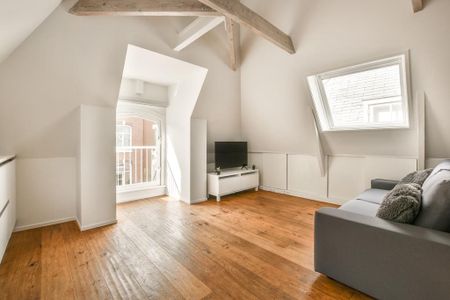 Pieter Cornelisz. Hooftstraat 44-3, P.C. Hooftbuurt, 1071BZ, Amsterdam - Foto 3