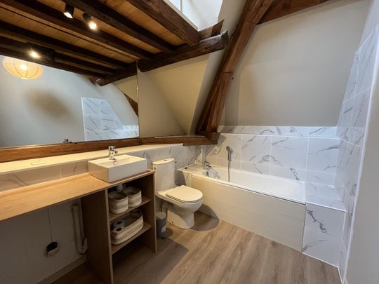 Location Appartement 1 pièce 43m² TROYES 10000 - Photo 1