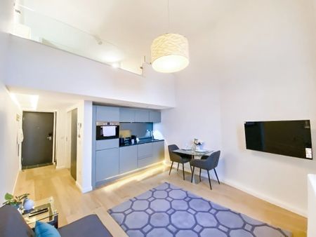 Studio Flat, Mcdonald Road, EH7 - Photo 3