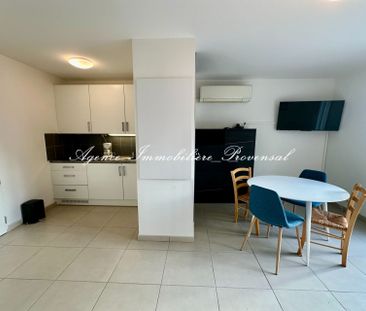 Location Appartement 1 pièce 28m² STE MAXIME 83120 - Photo 3