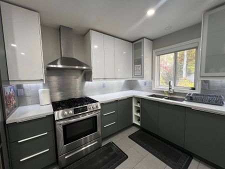 For Lease - 59 Lee Street, Wasaga Beach, Ontario - Photo 2