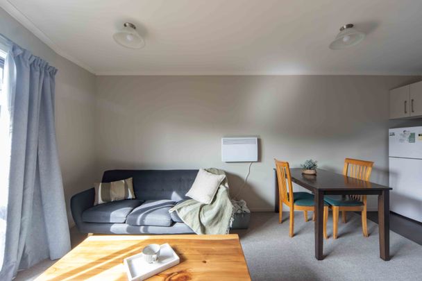 Furnished One Bedroom Apartment - Photo 1