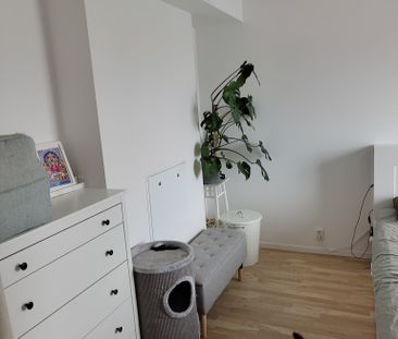 Johannesbäcksgatan, Uppsala - Photo 5