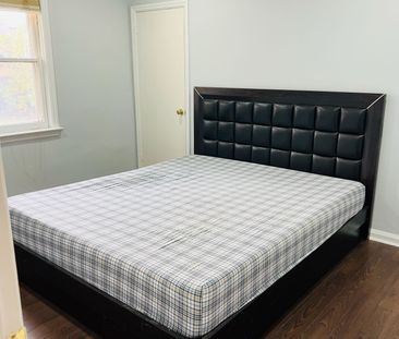 For Lease - 369 Martin Street, Milton, Ontario - Photo 6