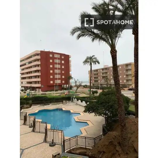 Sueca - Photo 1