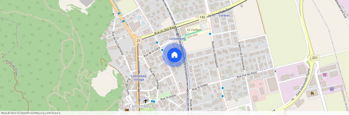 Rue du Pré Raye 11a, 1868 Collombey