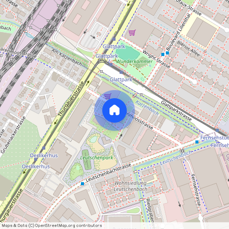 78 Schärenmoosstrasse, 8052 Zürich