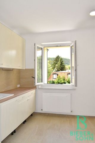 Sonniges, herziges, sehr gepflegtes Appartement - Photo 3