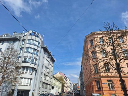 Tolle Paarwohnung in ruhiger Lage und unbefristet! - Foto 4