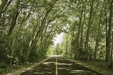 41 Woodridge Crescent, Bayshore - Belltown, Ottawa, ON - Photo 4