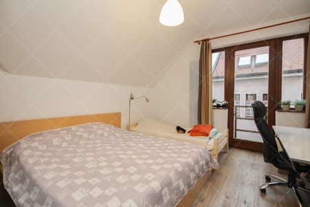 Seregély utca | Property for Long Term Rent in Budapest - Photo 4