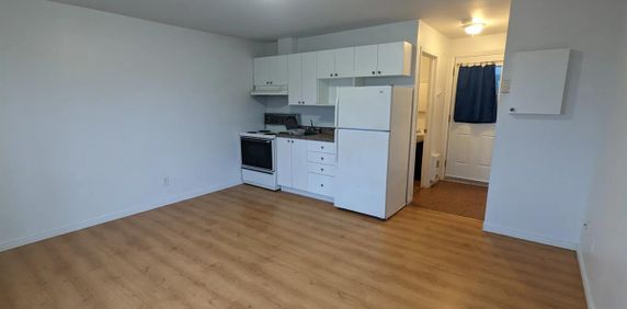 159 Rue Eddy (Hull) Studio Avec électro Disponible - Photo 2