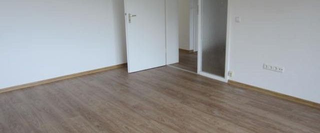 Tolle 2-Zimmer-Wohnung - frisch modernisiert - Foto 1