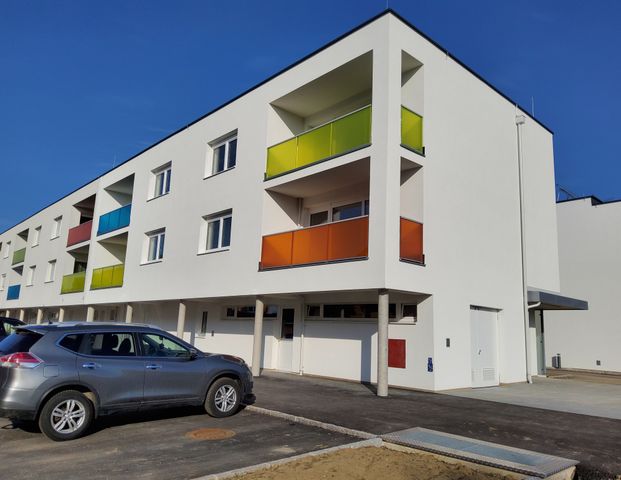 Ennsdorf, 3 Zimmer, 87 m² / 00753 00023 - Photo 1