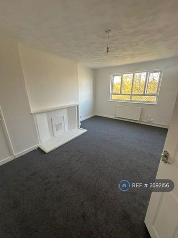 3 bedroom flat to rent - Photo 3
