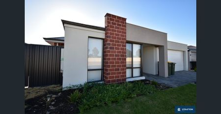 Stunning New Family Home in Ellenbrook - Photo 3