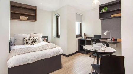 Luxury Studio - Photo 4