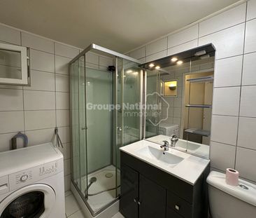 Location Appartement 1 pièce 24m² - Photo 5