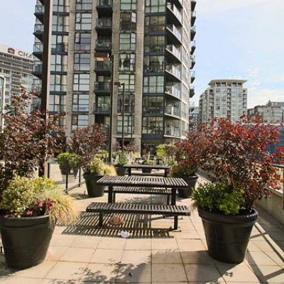 2 bedroom 2 bath unit at Freesia building with a huge patio downtown - Photo 4