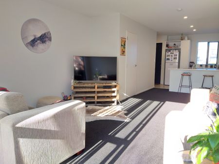 Unit 52, 10 Buffon Street, Waltham, Christchurch - Photo 5