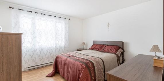 Appartement 4 ½ à louer Lévis novembre 2025 - Photo 2