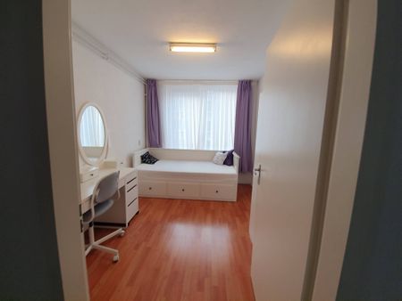 Boeroestraat - Photo 5