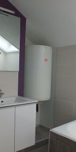 Location Appartement 1 pièce 30m² BELLEY 01300 - Photo 3