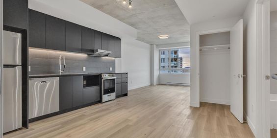 2 Bedroom - 5100 Boulevard De L'Assomption, Montréal - Est - Photo 3