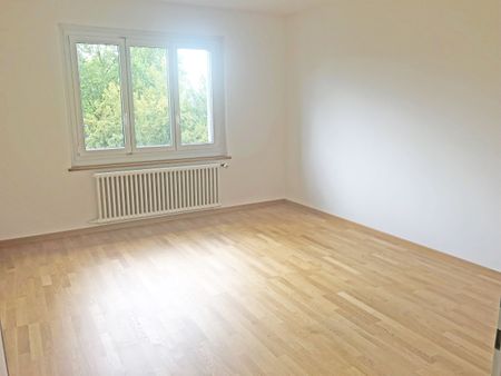 Grosszügige Wohnung an begrünter Lage in Zürich-Höngg - Photo 5