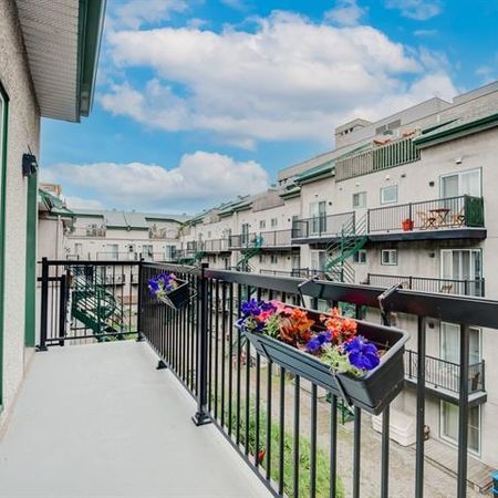 Superbe condo 4 1/2 au centre-ville - Photo 3