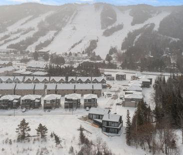 For Lease - 120 Sebastian Street, Blue Mountains, Ontario - Photo 4