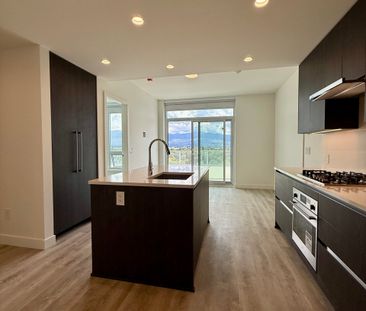 Brand New 1 Bdrm facing South w/ Lakeview at Water St by the Park - Photo 6