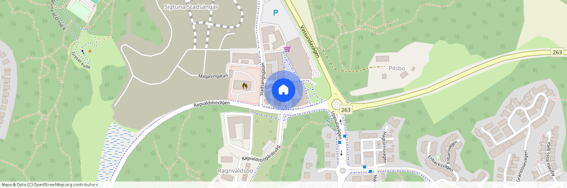 Katt Anders Gränd, Sigtuna